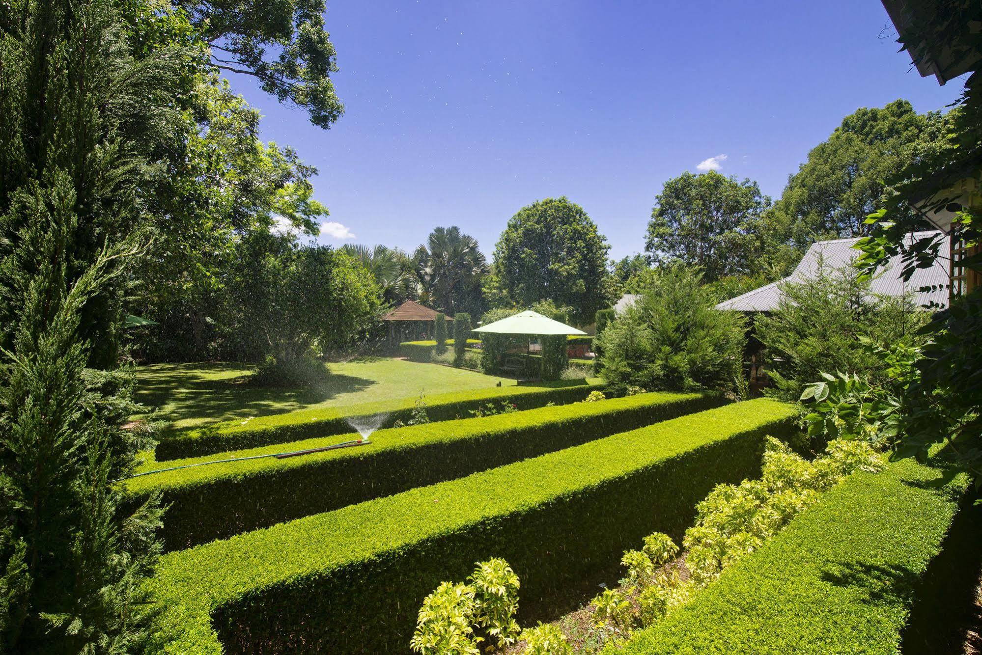 Allumbah Pocket Cottages Yungaburra Bagian luar foto